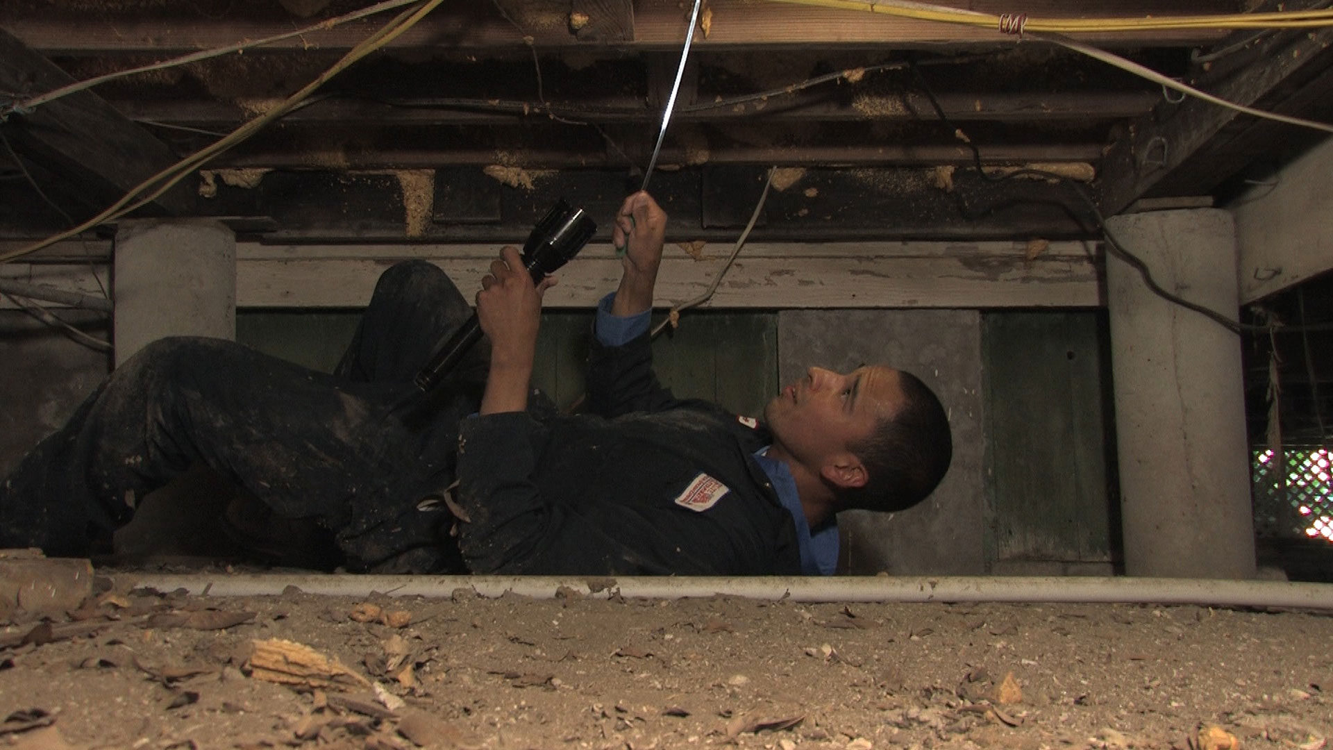 Termite-Inspection-1.jpg